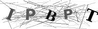 Please refresh your browser to see this image.