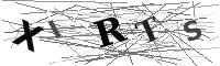 Please refresh your browser to see this image.
